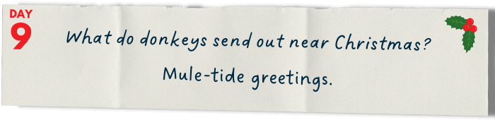        What do donkeys send out near Christmas?   Mule-tide greetings.
