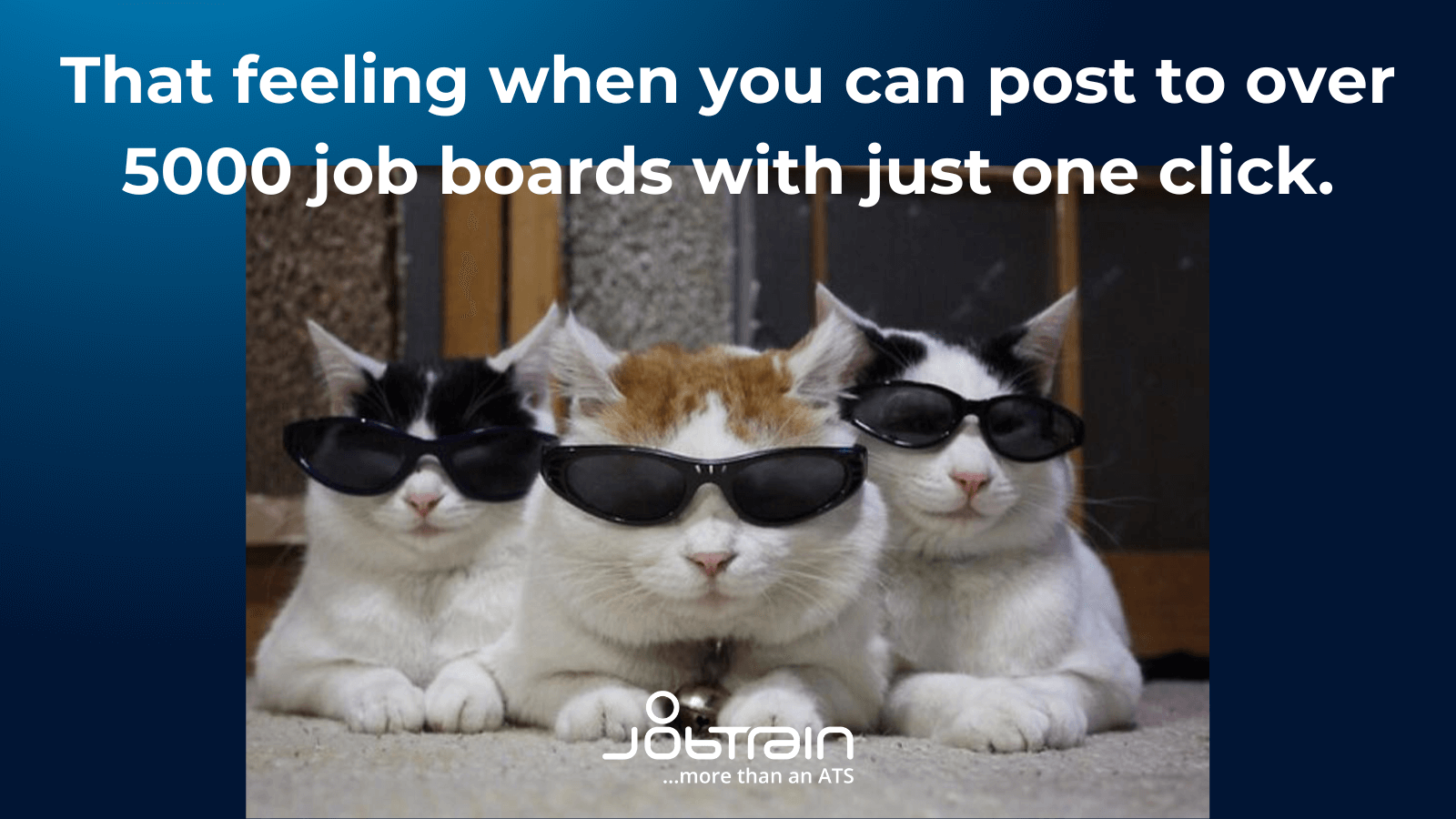 Cat meme job board marketplace 2https://jobtrain.co.uk/home/applicant-tracking-software-by-jobtrain/job-board-marketplace/