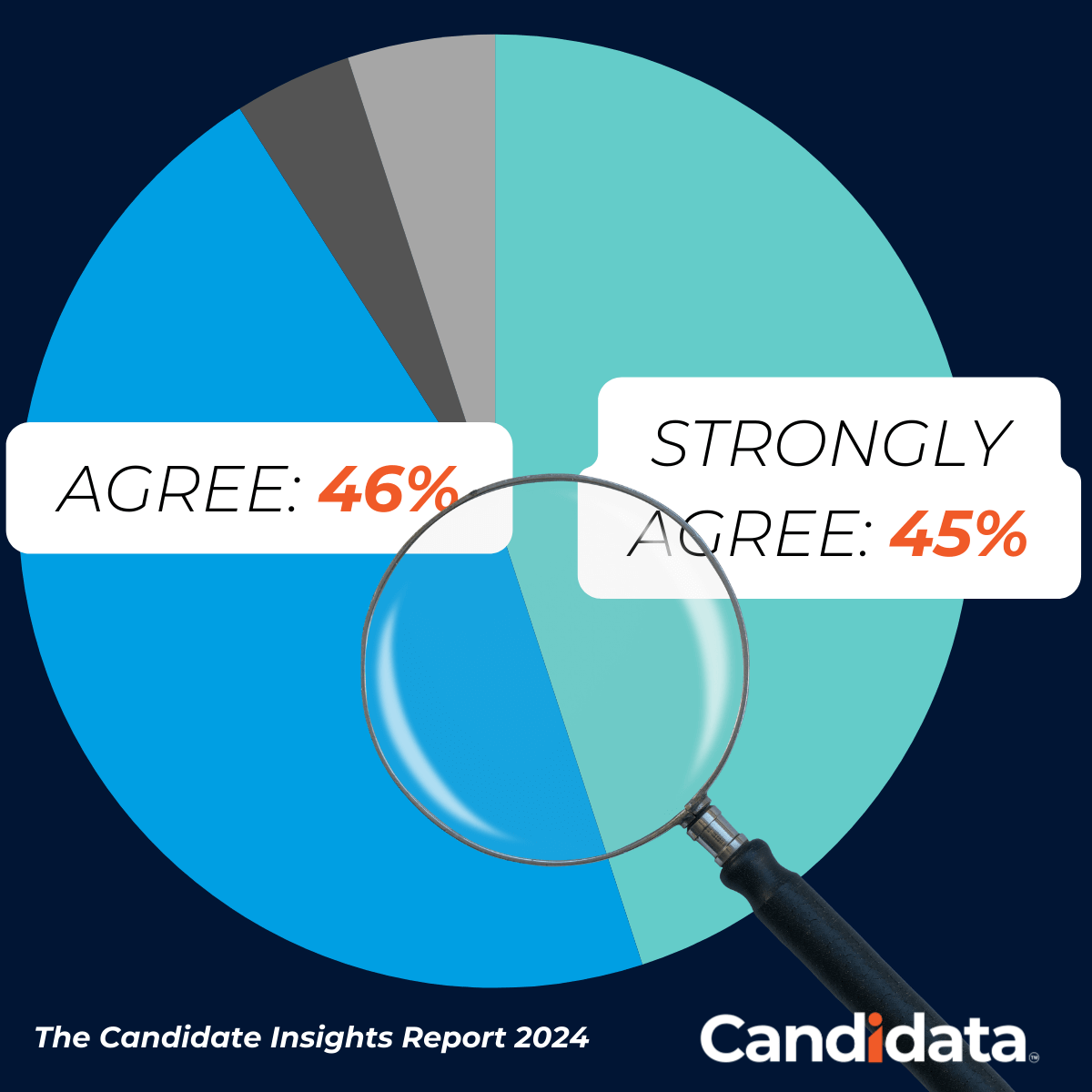 EDI data Candidate Insights 2024 (1)