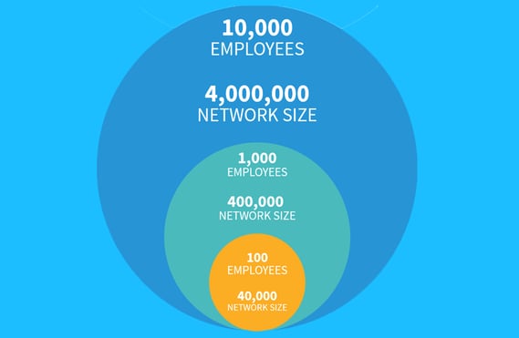 Employee network size