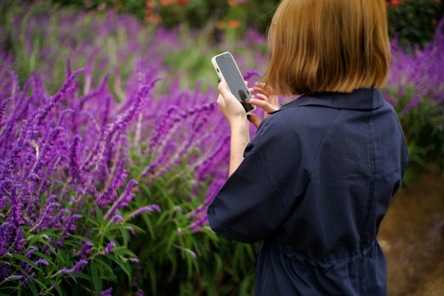 Woman using a mobile phone