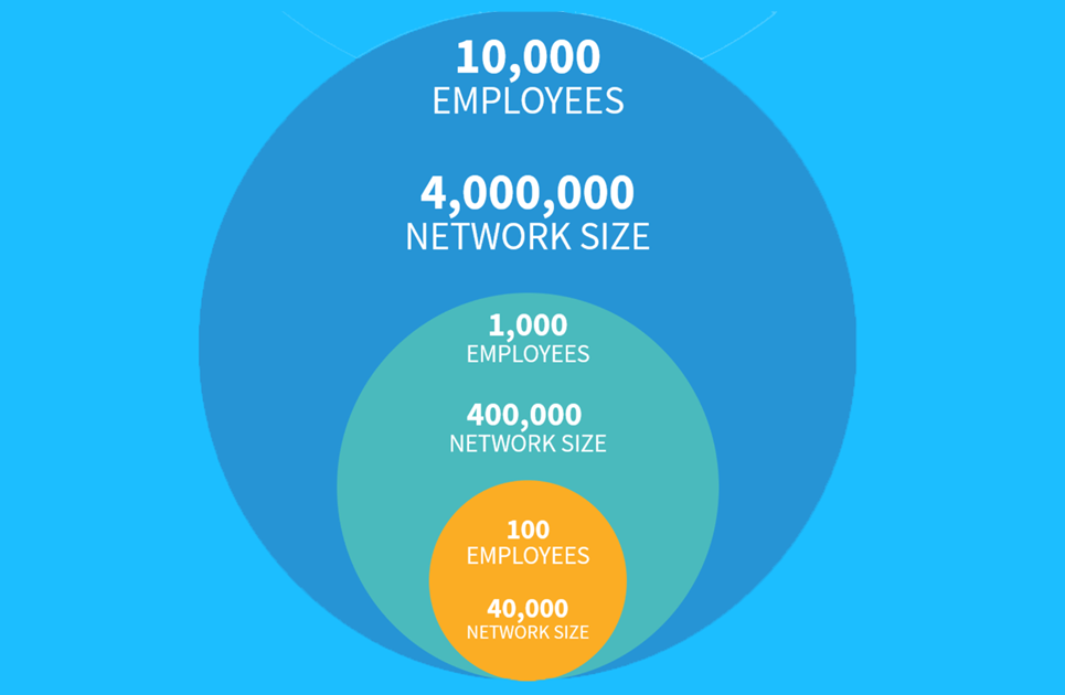 Employee network size